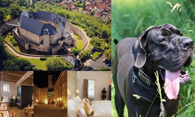 Wochenende für Mensch und Hund (2 Nächte je nach Verfügbarkeit, im Doppelzimmer)